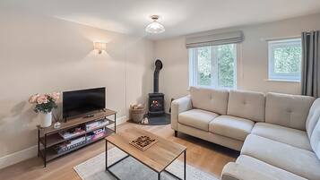 Una sala de estar con sofá, televisor, mesa de centro, chimenea y una ventana con cortinas.