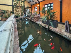 Un bassin à carpes koï, avec des poissons, entouré de plantes et d’un mur de pierres.
