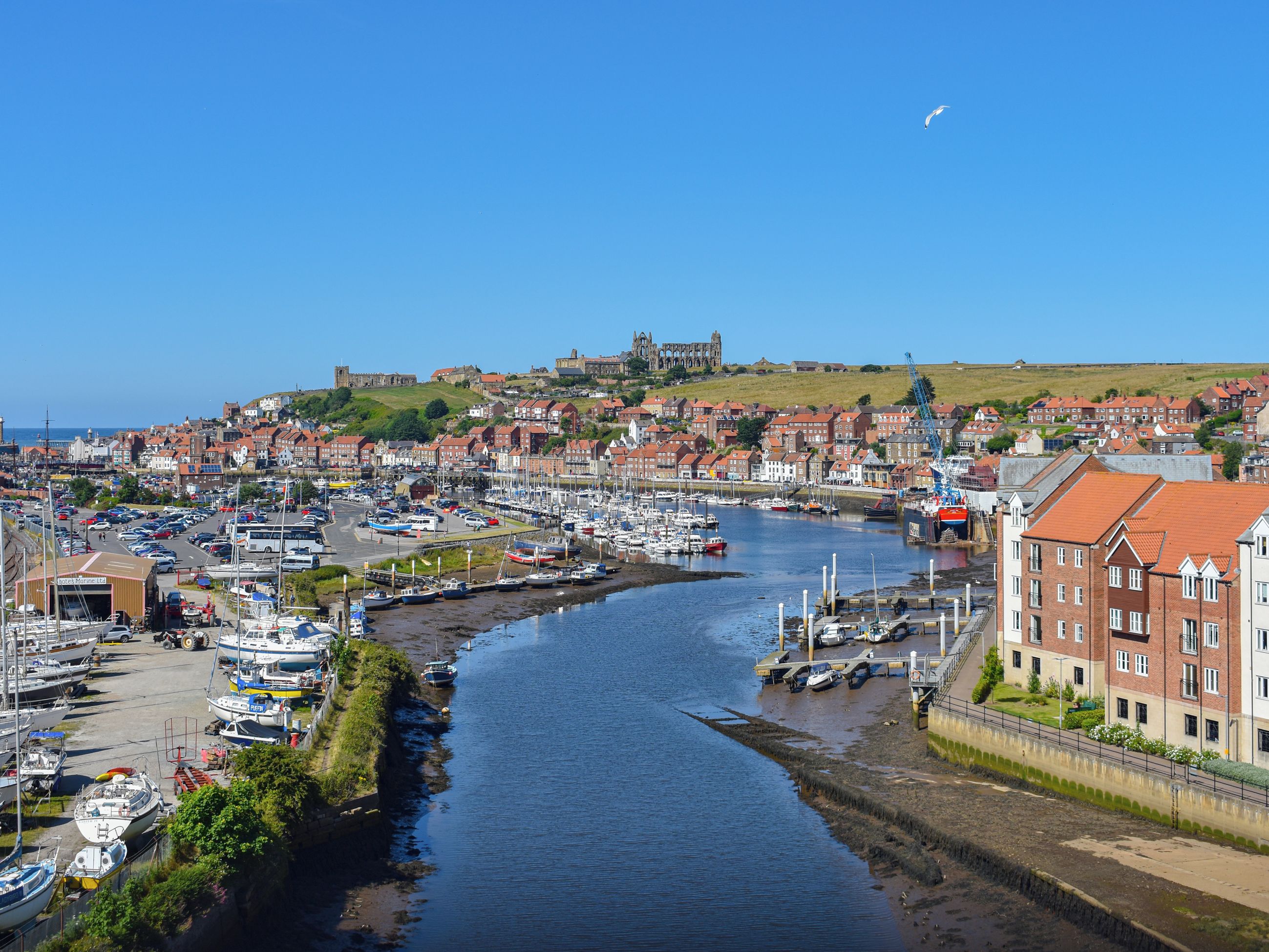 A coastal town with a marina, historic buildings, and a prominent castle on a hill.