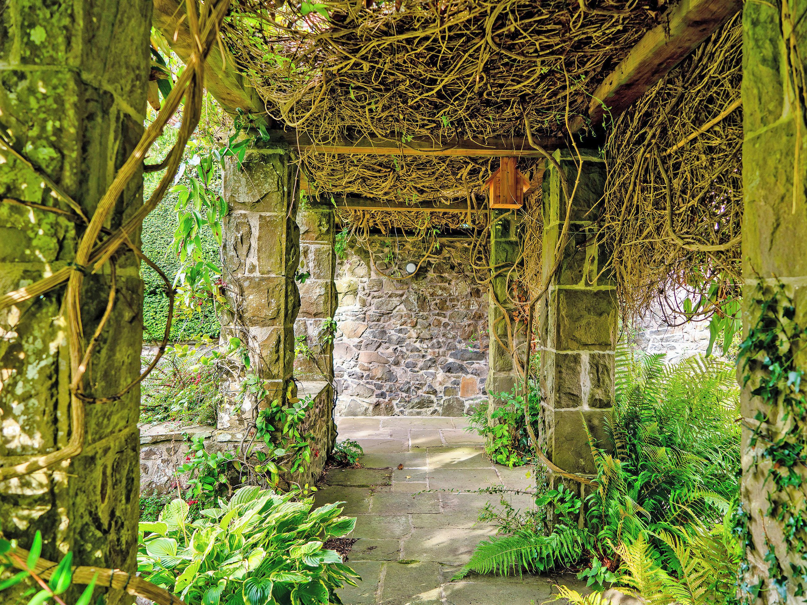 Un chemin de pierres serpente à travers un jardin luxuriant, où le feuillage est dense, et un aménagement en bois surplombe l’ensemble.