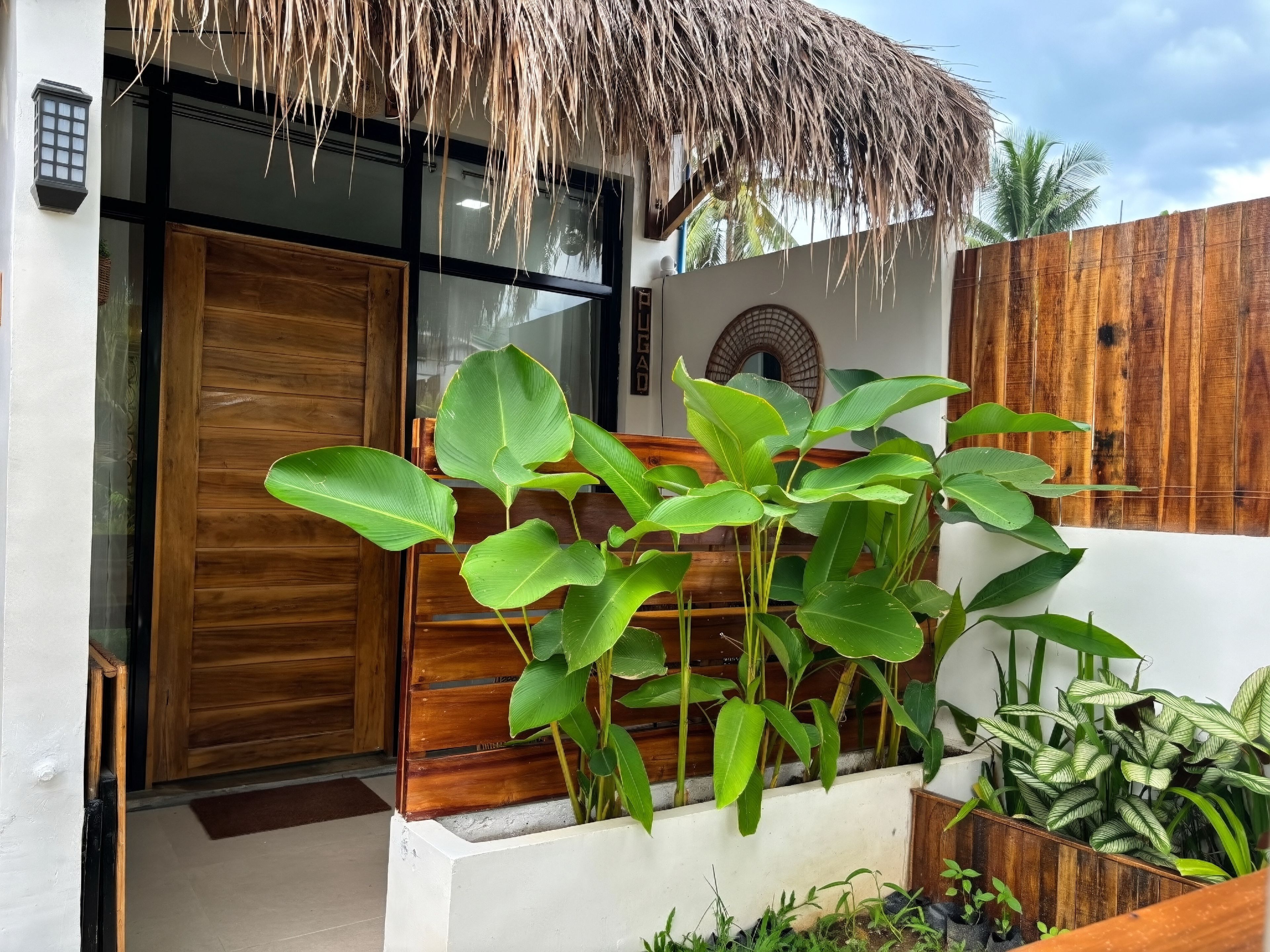 A modern building entrance with a wooden door, a thatched roof, and lush green plants.