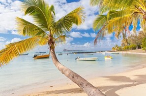 Une plage avec un palmier au premier plan, une eau calme et des bateaux.