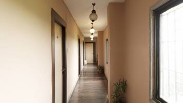 A hallway with a marble floor, doors on the left, and potted plants on the right.
