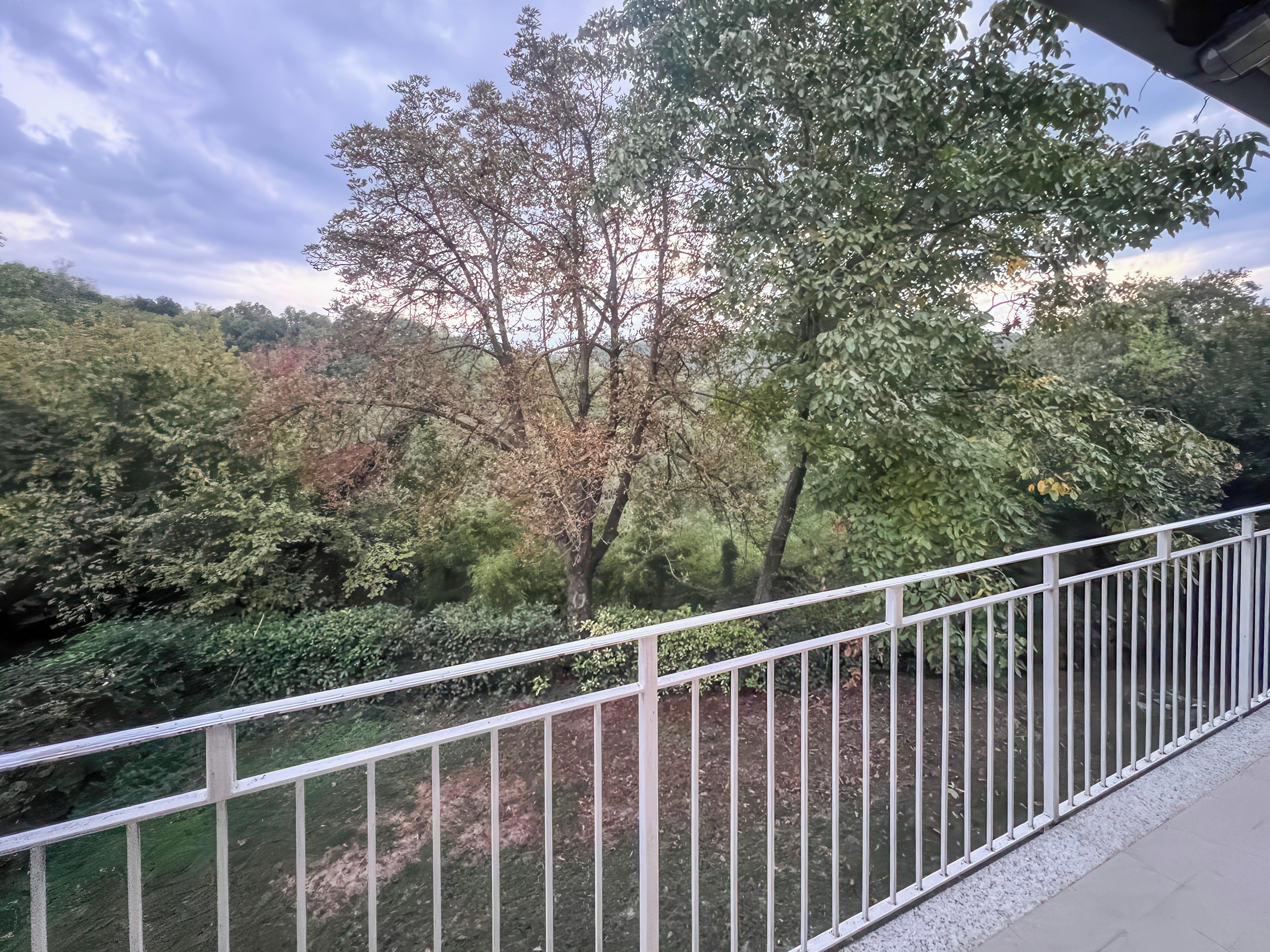 A balcony with a white railing overlooking a garden with various trees and shrubs.