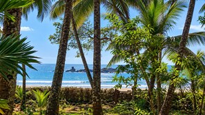 Una playa tropical con palmeras y una vista despejada del océano.