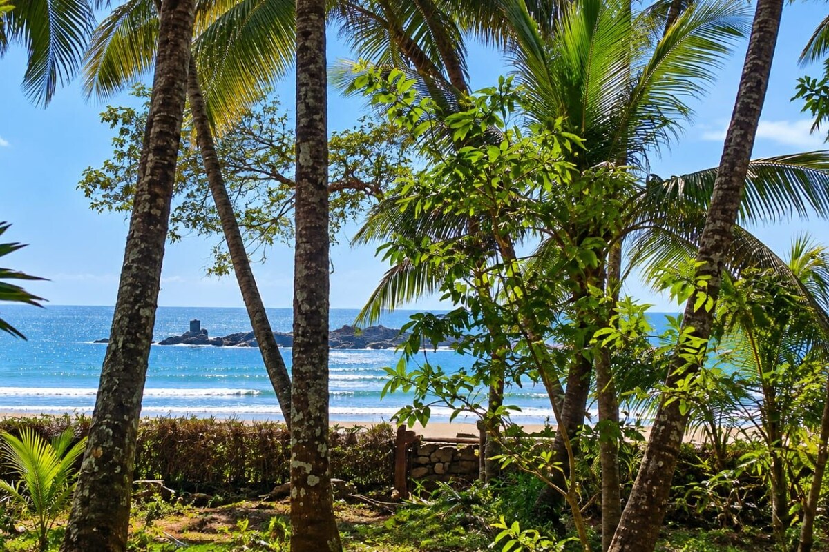 A tropical beach with palm trees and a clear view of the ocean.