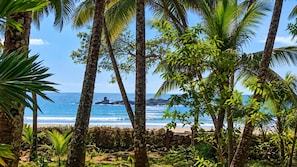 A tropical beach with palm trees and a clear view of the ocean.