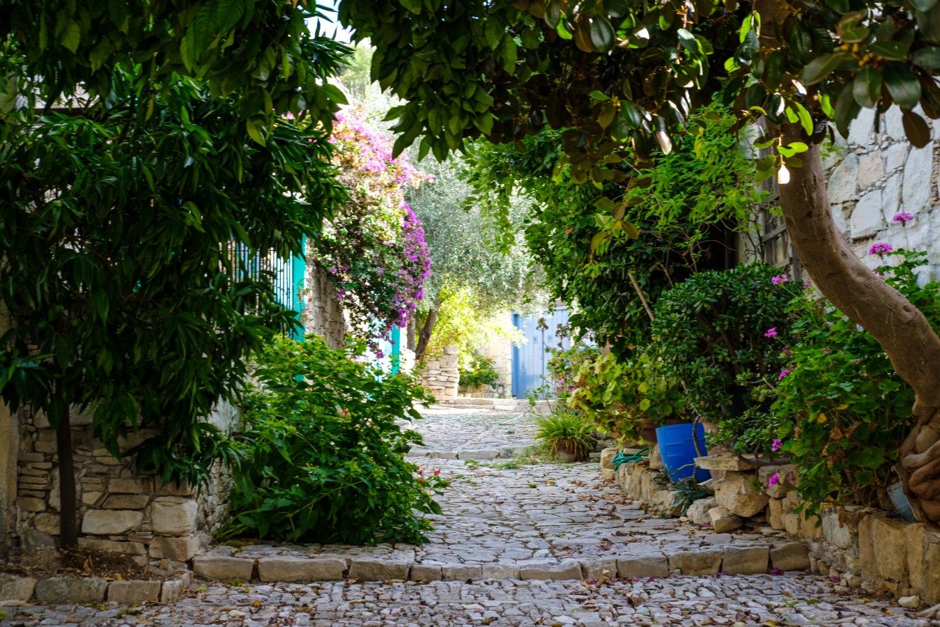 A cobblestone pathway flanked by lush greenery and stone walls, leading to a traditional building with a blue door.