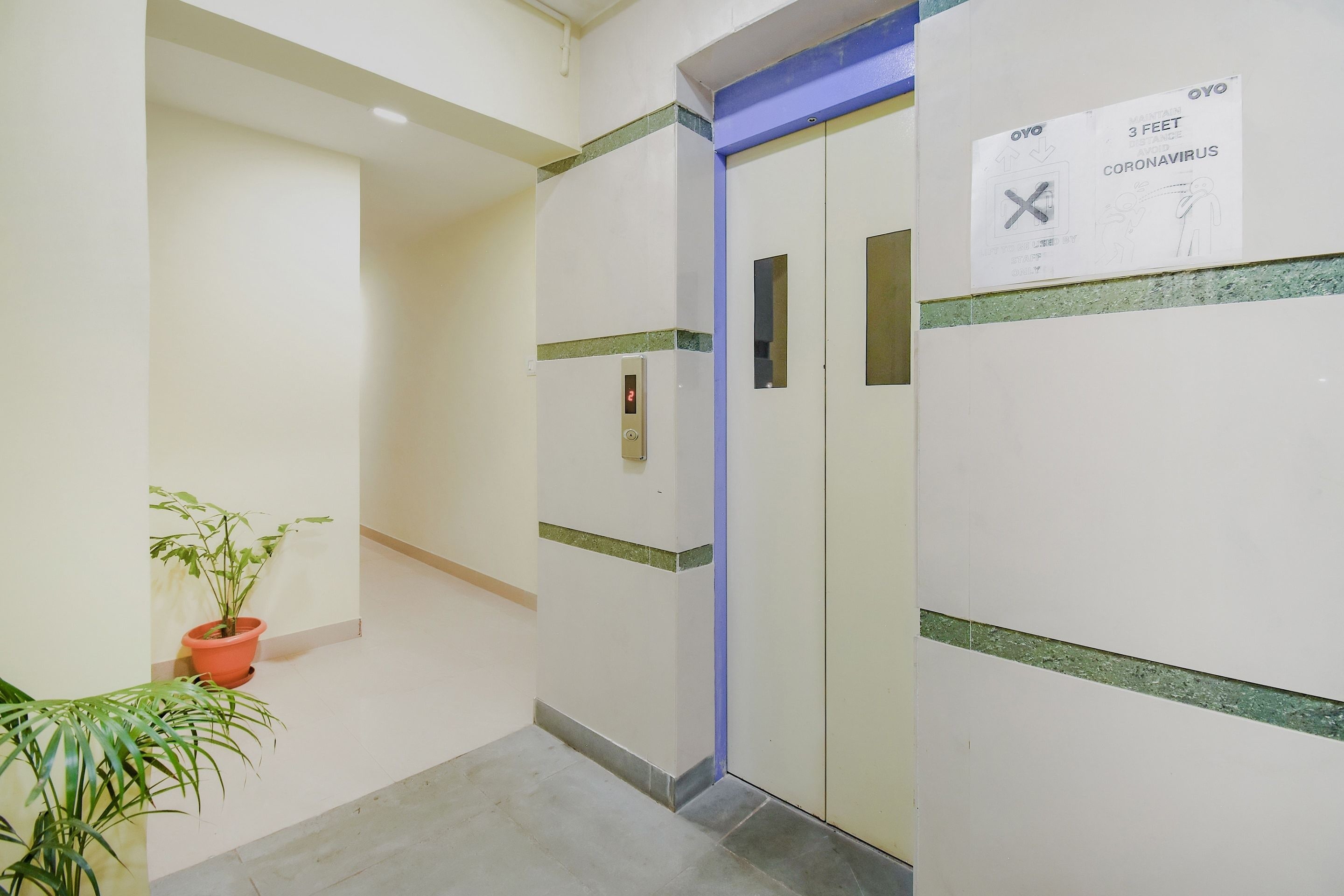 A hallway with a potted plant, a door with a sign about coronavirus, and a blue-lit elevator.
