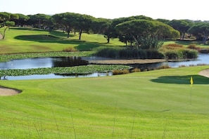 Un parcours de golf avec un étang, des arbres et un mât de drapeau.