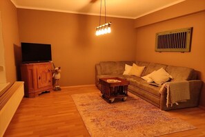 A living room with a sofa, a television on a cabinet, and a patterned rug. - Small and exquisite country gem (Darze)