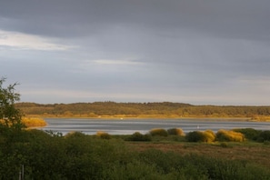 A natural landscape with a body of water, trees, and shrubs. - Holiday apartment with 2 bedrooms (Preetz)