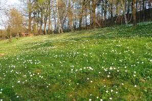 A grassy area with trees and a building in the background. - Holiday apartment in Dittmannsdorf with sauna (Dittmannsdorf)
