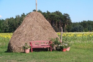 A haystack with a bench and potted plants in a field. - Holiday home with 2 bedrooms (Byhleguhre)