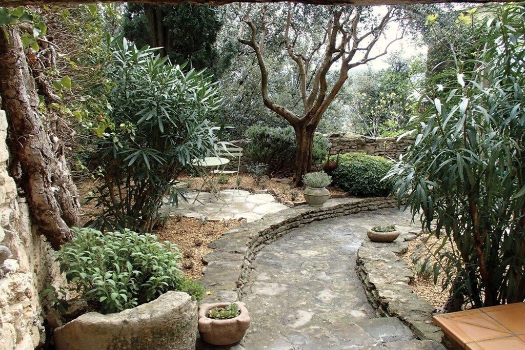 A stone pathway winding through a garden with various plants and a tree.