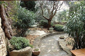 A stone pathway winding through a garden with various plants and a tree. - ||-------------------------Balcon du Ventoux---------------------------|| (Faucon)
