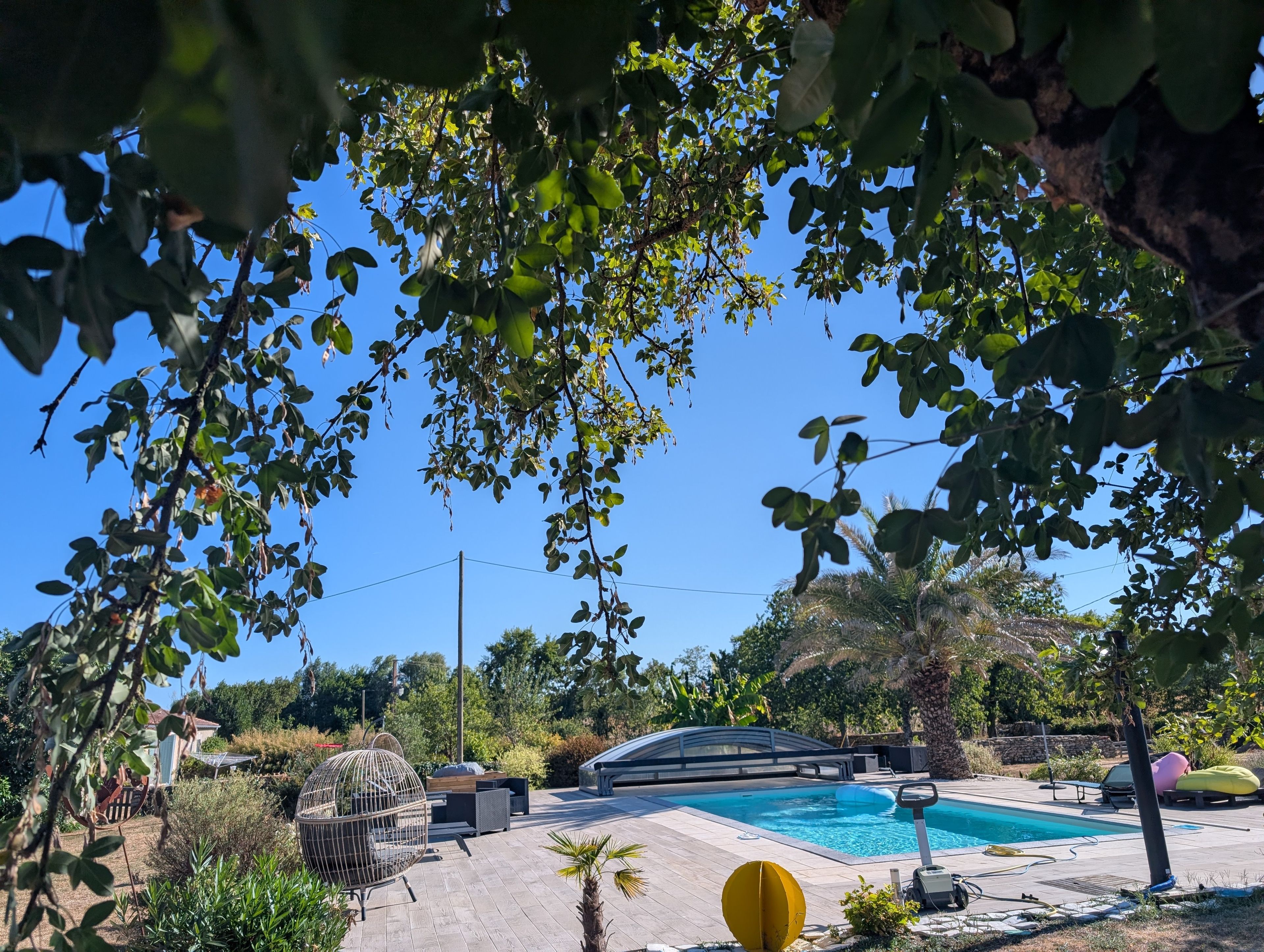 Een zwembadgedeelte met een helderblauwe lucht, omringd door groen en een pergola.
