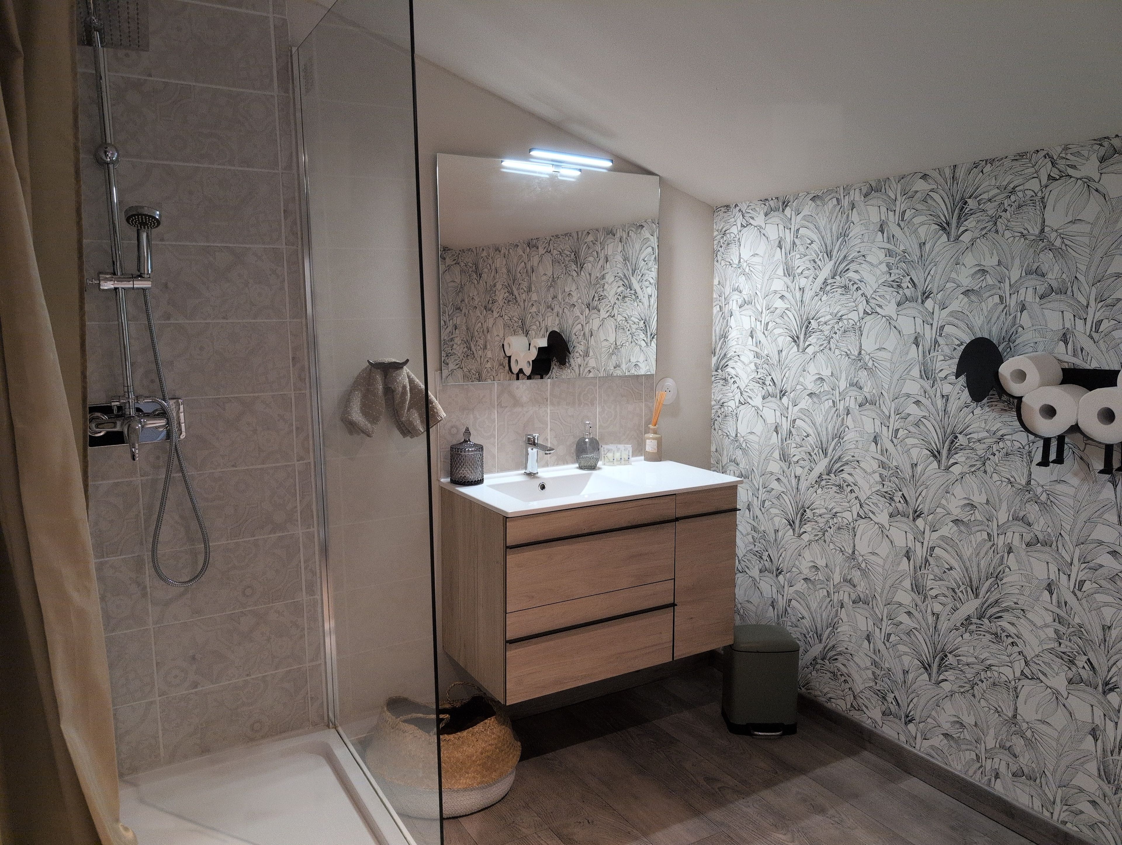 Une salle de bain avec une douche à parois de verre, un lavabo blanc et un miroir.