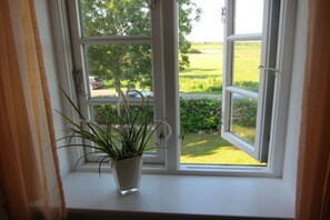 Ein Fenster mit einem Blumentopf auf der Fensterbank, mit Blick auf eine grüne Landschaft mit einer Straße und geparkten Autos.