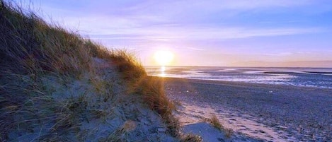 Una playa con arena y pasto, un atardecer al fondo, y cielo despejado.