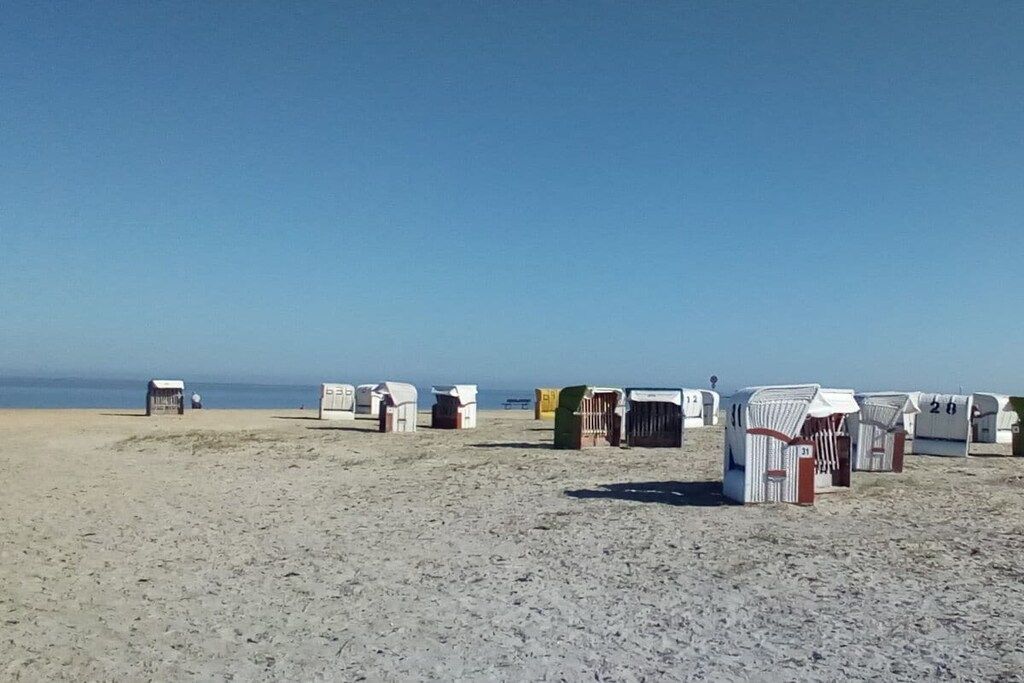 A beach with several numbered beach huts.