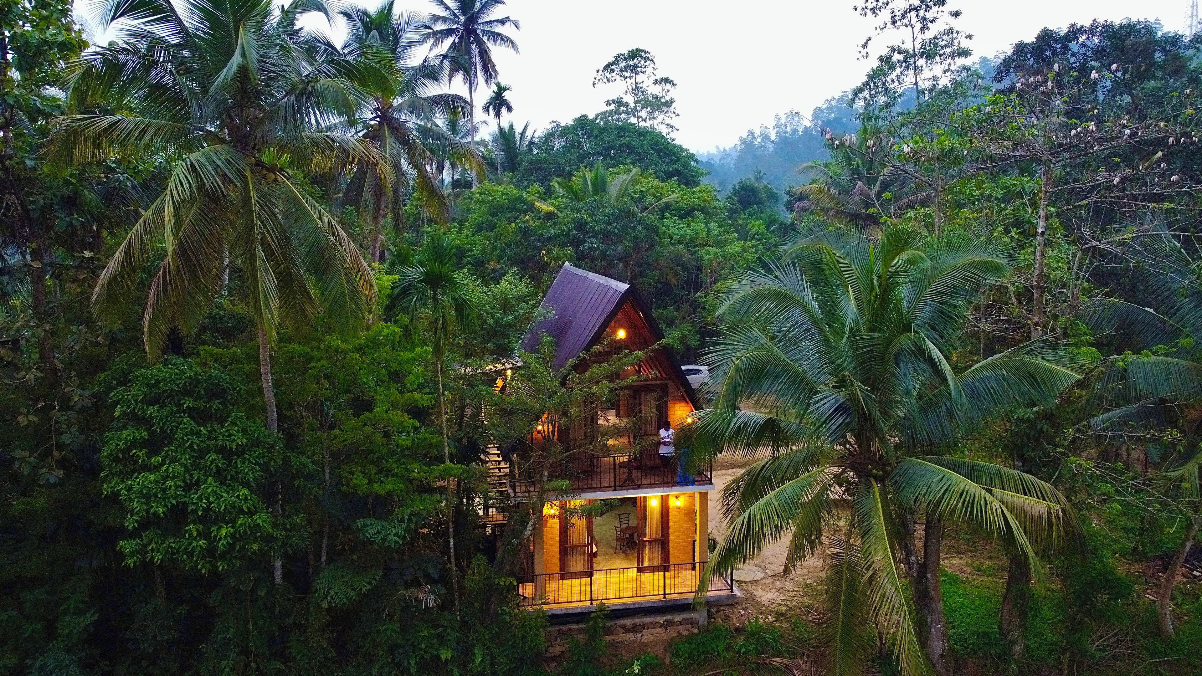Una cabaña de madera rodeada de densa vegetación tropical, con un área de terraza visible y una estructura de un piso.
