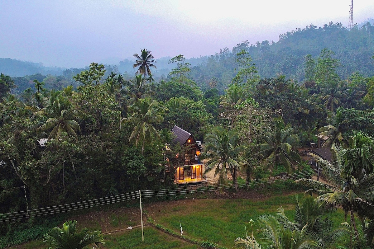 A rural house surrounded by dense tropical vegetation, with a visible fence and a clear view of the landscape.