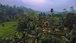 Un paisaje exuberante y verde con un edificio rodeado de densas palmeras y un telón de fondo montañoso.