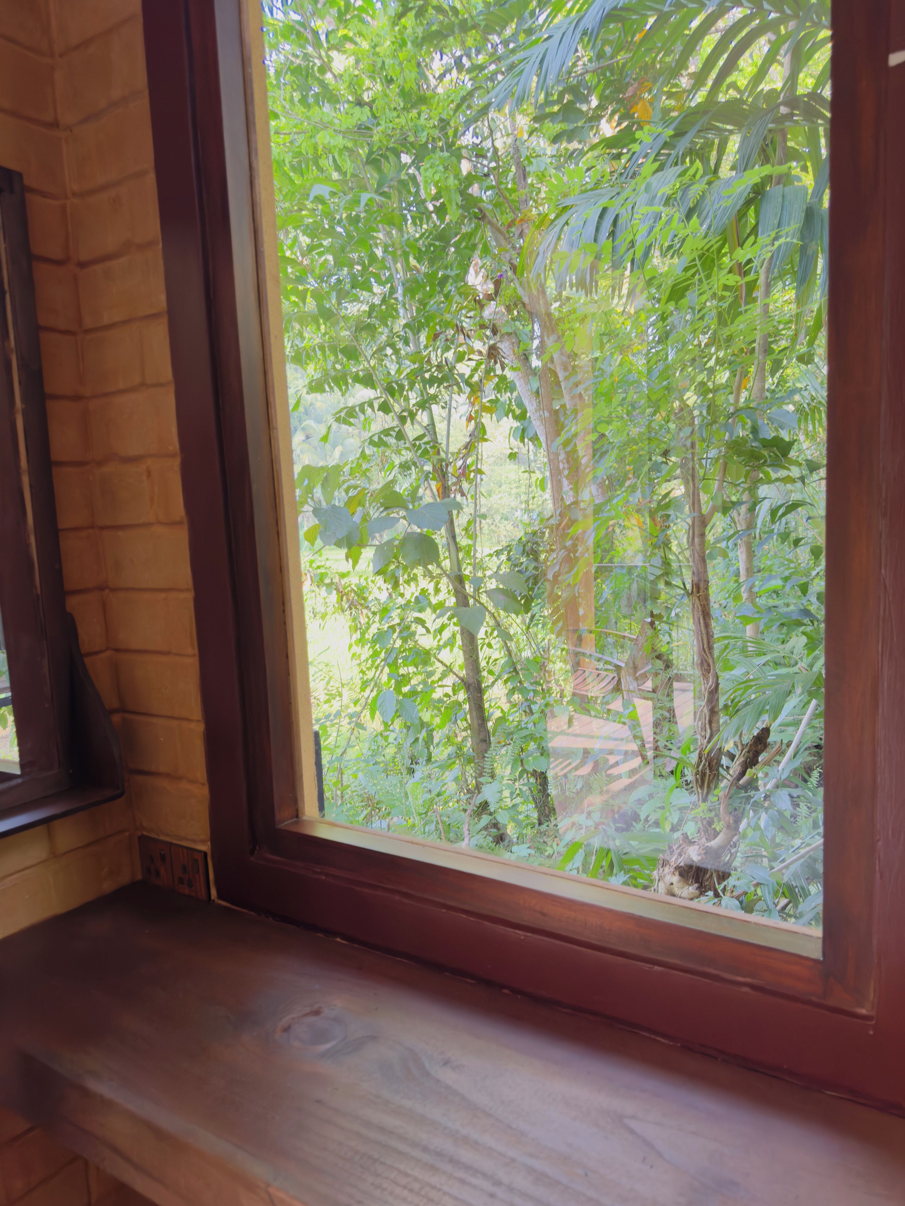 A window with a view of a dense green forest.