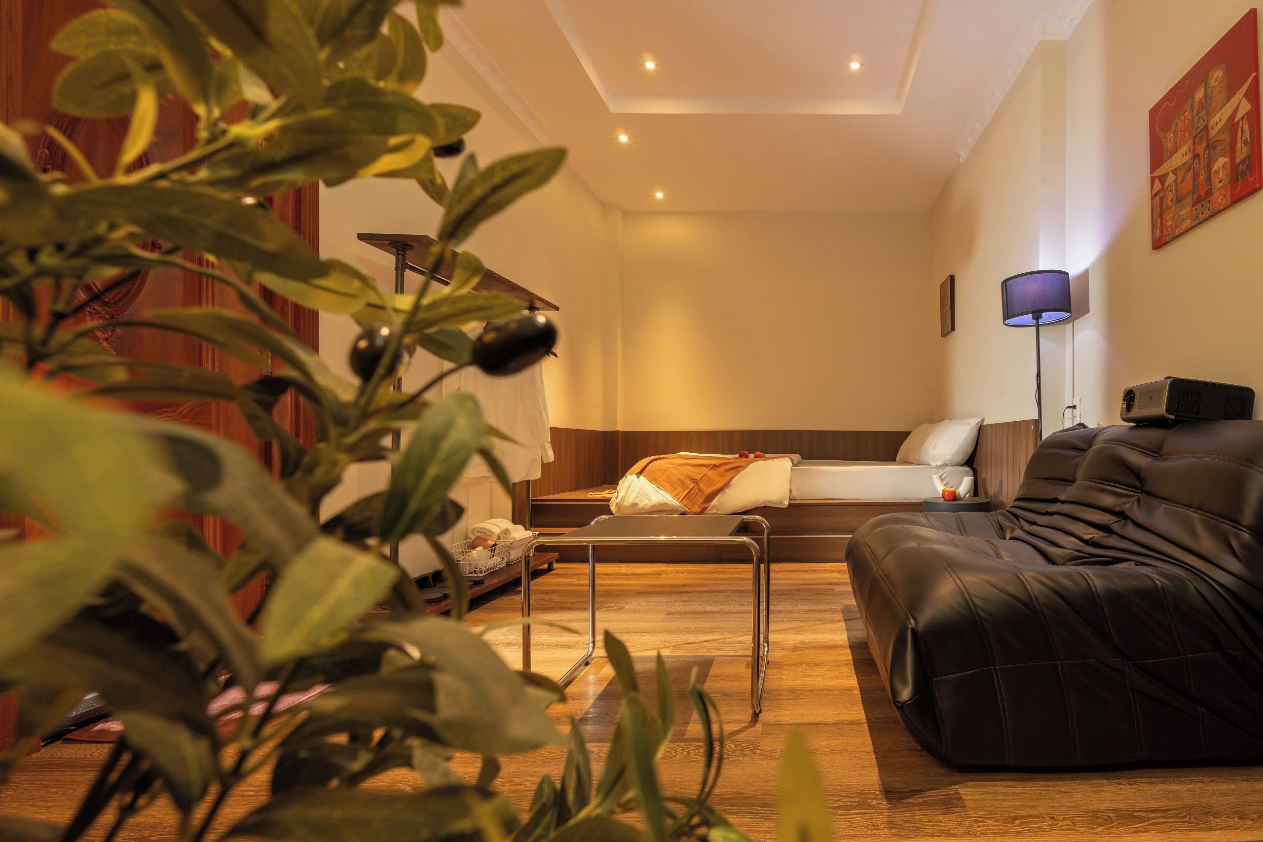 A modern living room with a sofa, a coffee table, and a lamp. There is a plant in the foreground.