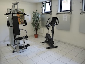 Ein Fitnessraum mit Trainingsgeräten, einem Blumentopf und Fenstern.