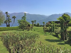 A lush garden with palm trees and a view of mountains and a lake. - San Remo by Interhome (Brissago)