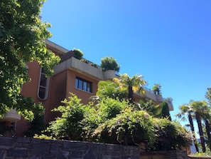 A multi-story building with balconies, surrounded by lush greenery and trees. - Apartment DA 27 by Interhome (Ascona)