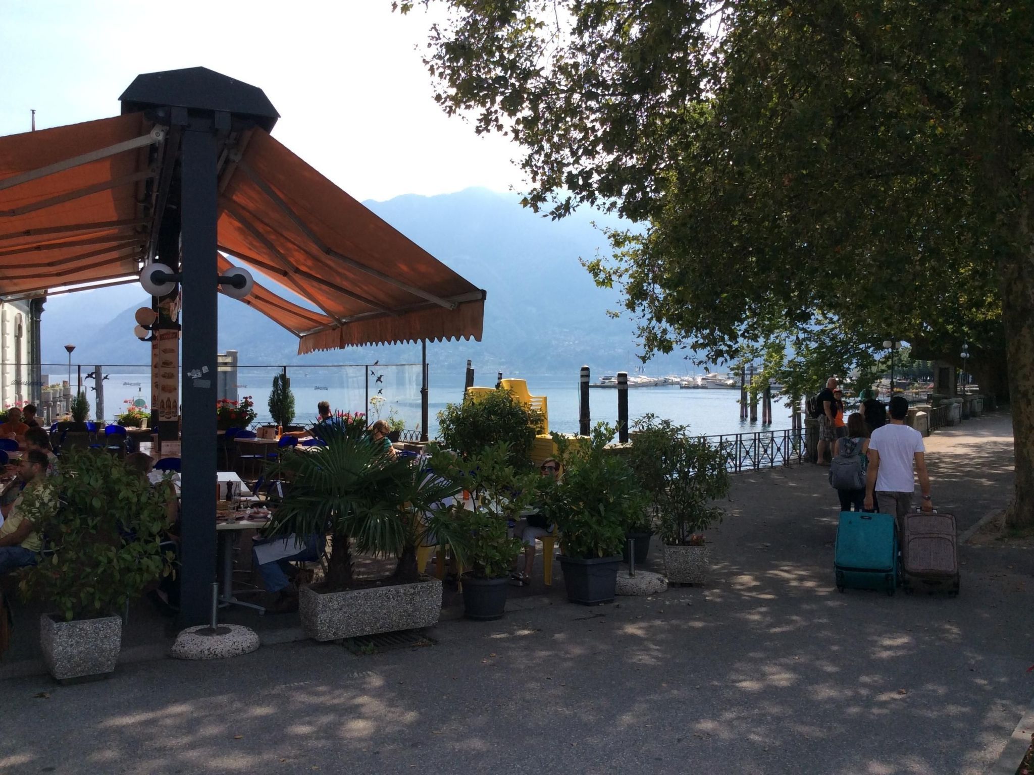 Ein Markt im Freien mit Tischen und Blumentöpfen, ein überdachter Sitzbereich und im Hintergrund Wasser und Berge.