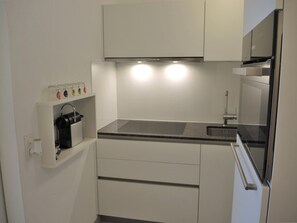 A compact kitchenette with a countertop, a sink, and a built-in oven. - Sibylle by Interhome (Locarno)