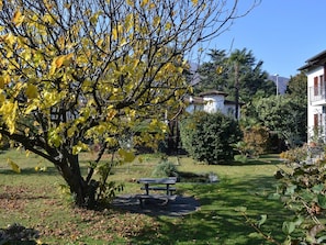 A park with a bench, a tree with yellow leaves, and a building in the background. - Apartment Tista by Interhome (Ascona)