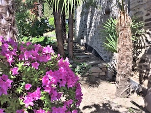 Un giardino con un vialetto in pietra, piante fiorite e un muro di pietra rustico.