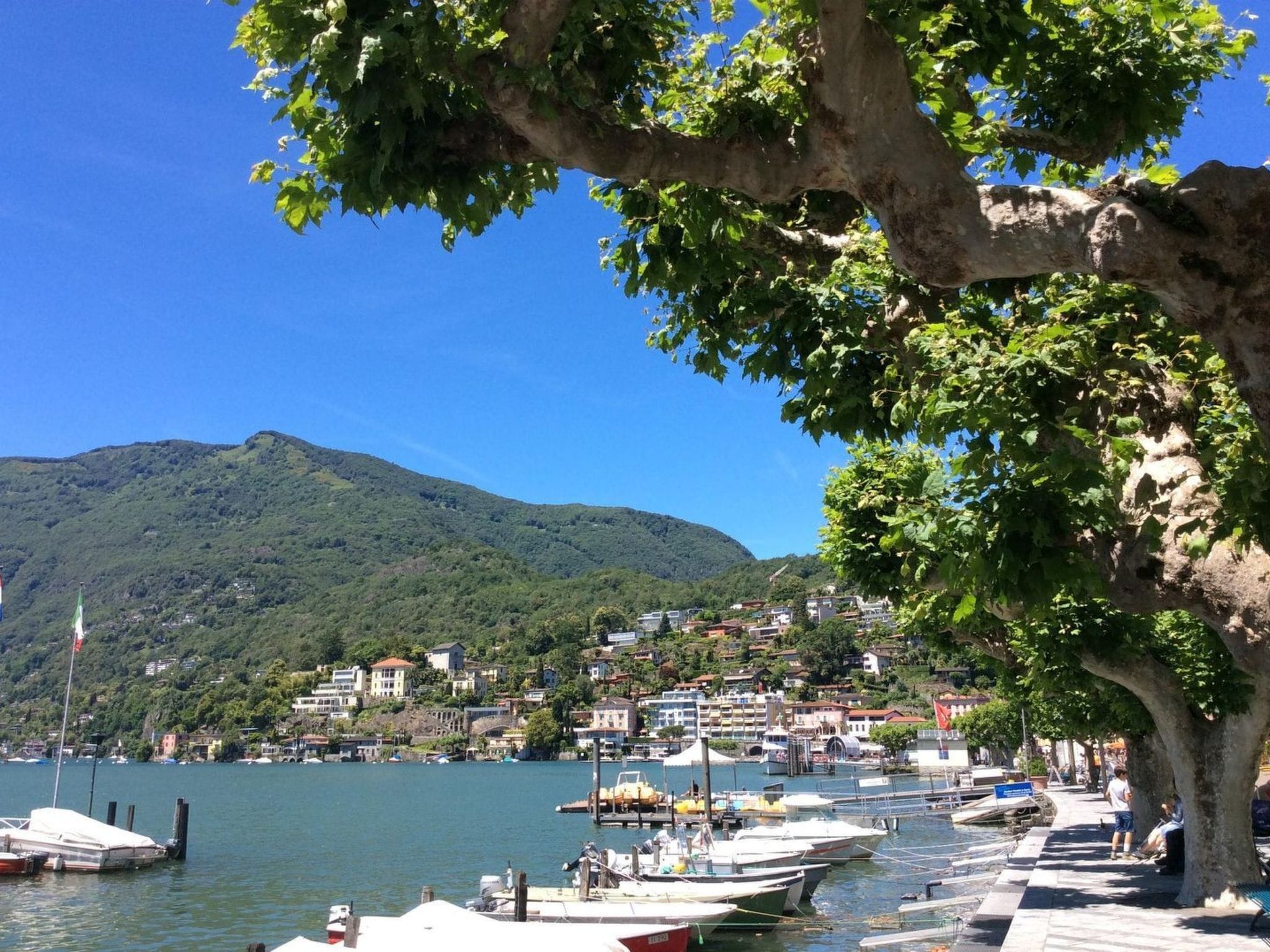 A coastal town with boats docked at a marina, a tree-lined promenade, and buildings on a hillside.