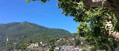 マリーナ