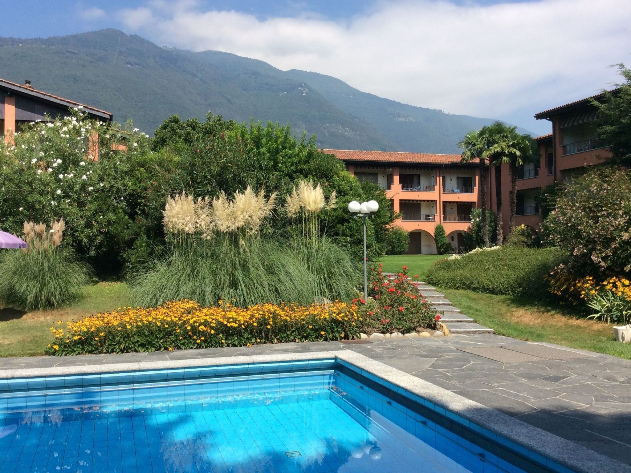 A swimming pool with a mountain backdrop, surrounded by lush greenery and a multi-story building.