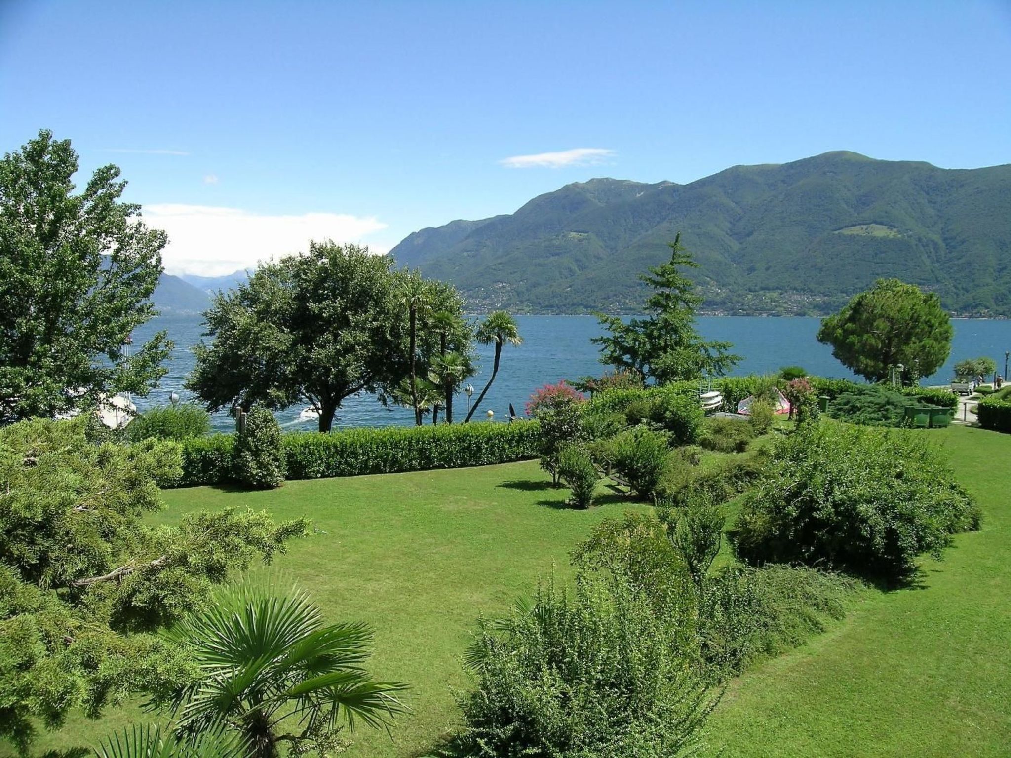 Een weelderig groen landschap met een meer en bergen op de achtergrond.