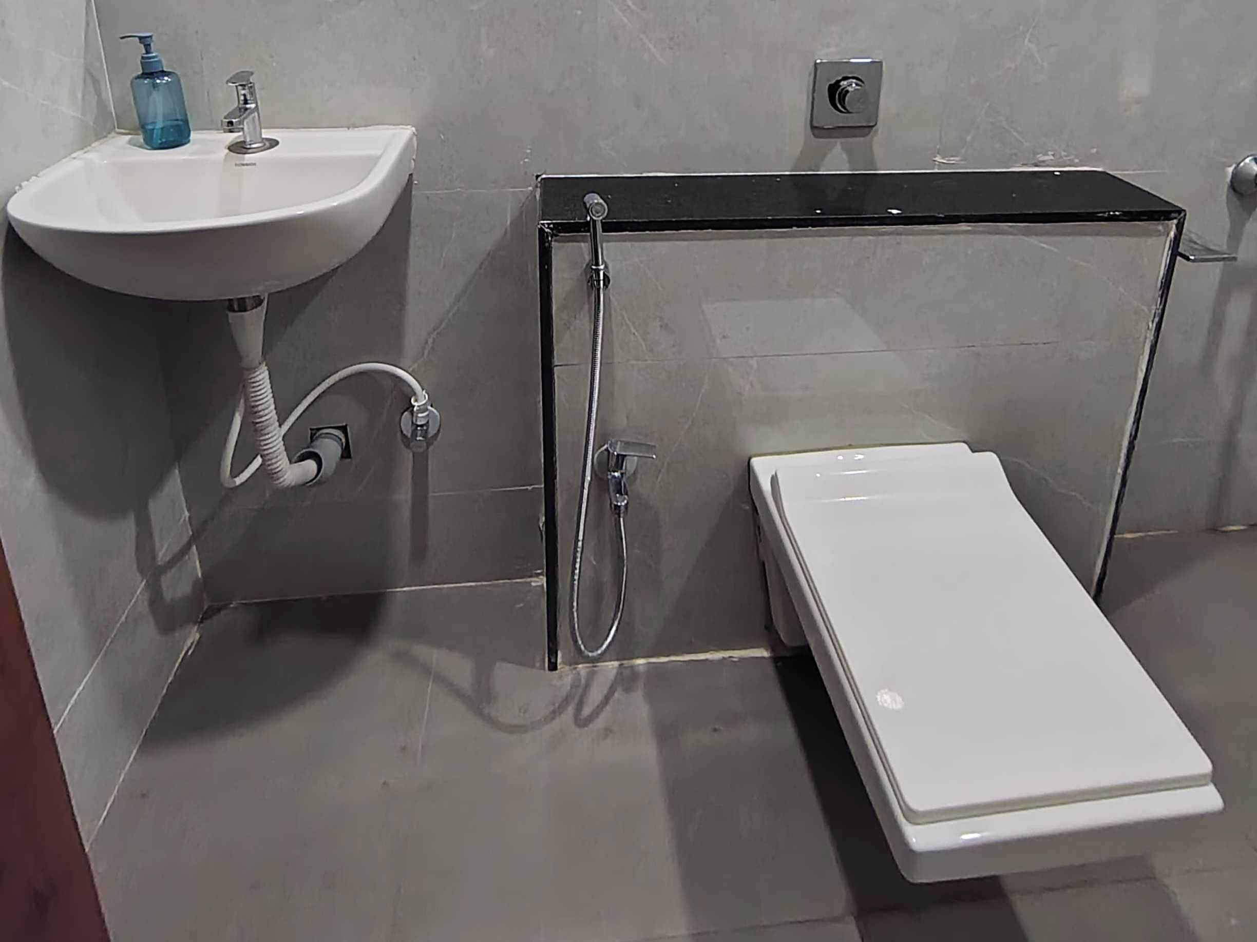 Un baño con un lavabo blanco, un cabezal de ducha de mano y un inodoro blanco.