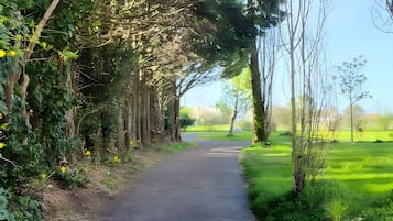 A pathway flanked by trees and greenery, leading to a grassy area.