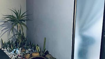 A corner of a building with a planter containing various plants and rocks.