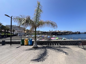 Un paseo marítimo con una palmera, un muro de piedra y vistas al mar.