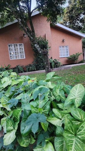 A building with two windows, surrounded by lush green plants. - Baiskeli Experience Haus | Cosy Arusha Stay for 6, Near Clock Tower (Arusha)
