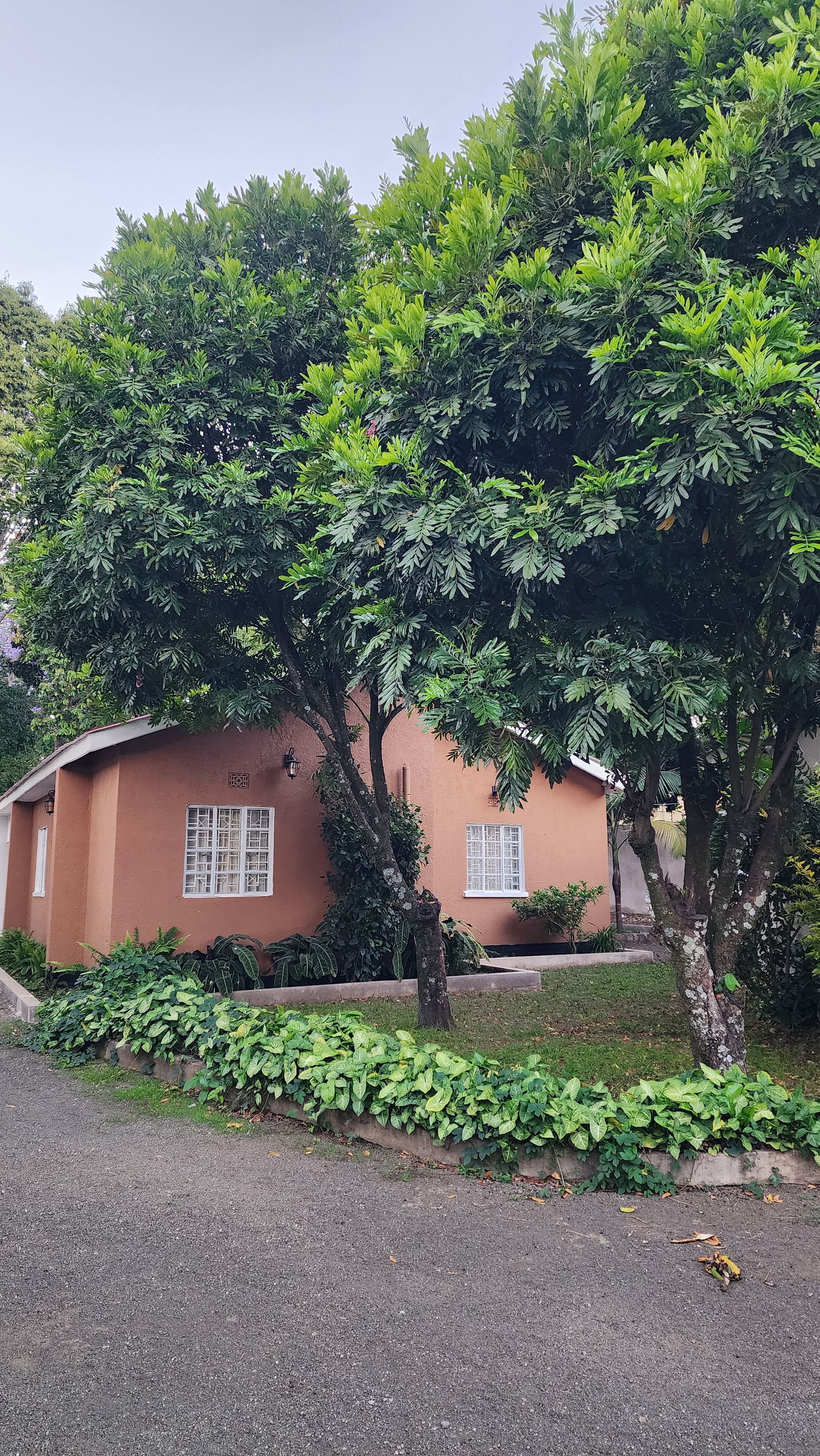 A house with a red exterior, surrounded by lush greenery and trees.