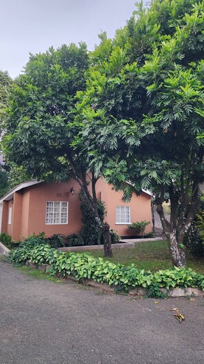 A house with a red exterior, surrounded by lush greenery and trees. - Baiskeli Experience Haus | Cosy Arusha Stay for 6, Near Clock Tower (Arusha)