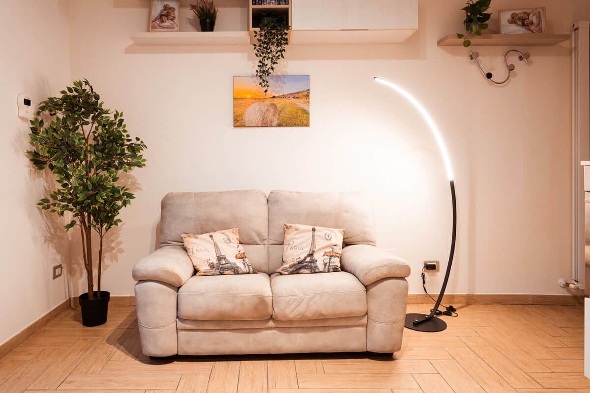 A neutral-toned sofa with two decorative pillows, a potted plant, a wall-mounted picture, and a floor lamp in a room with wooden flooring.
