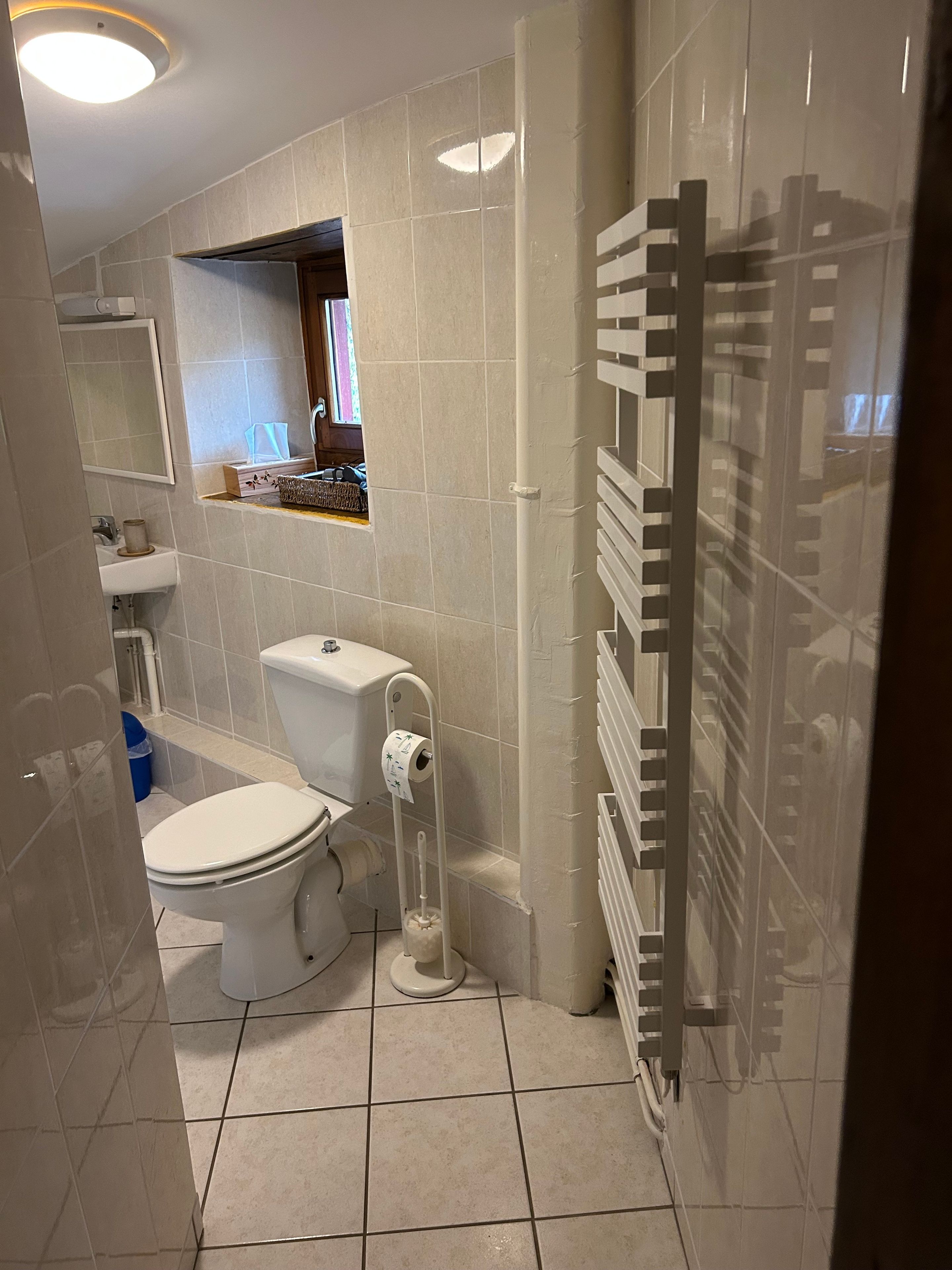 Un baño con inodoro, lavamanos y zona de ducha.